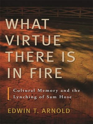 cover image of What Virtue There Is in Fire